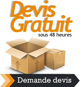 devis-demenagement-pas-cher